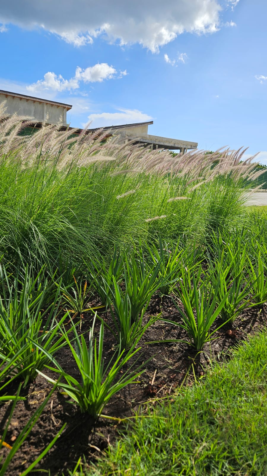 WhatsApp Image 2025-11-26 at 10.05.41 AM